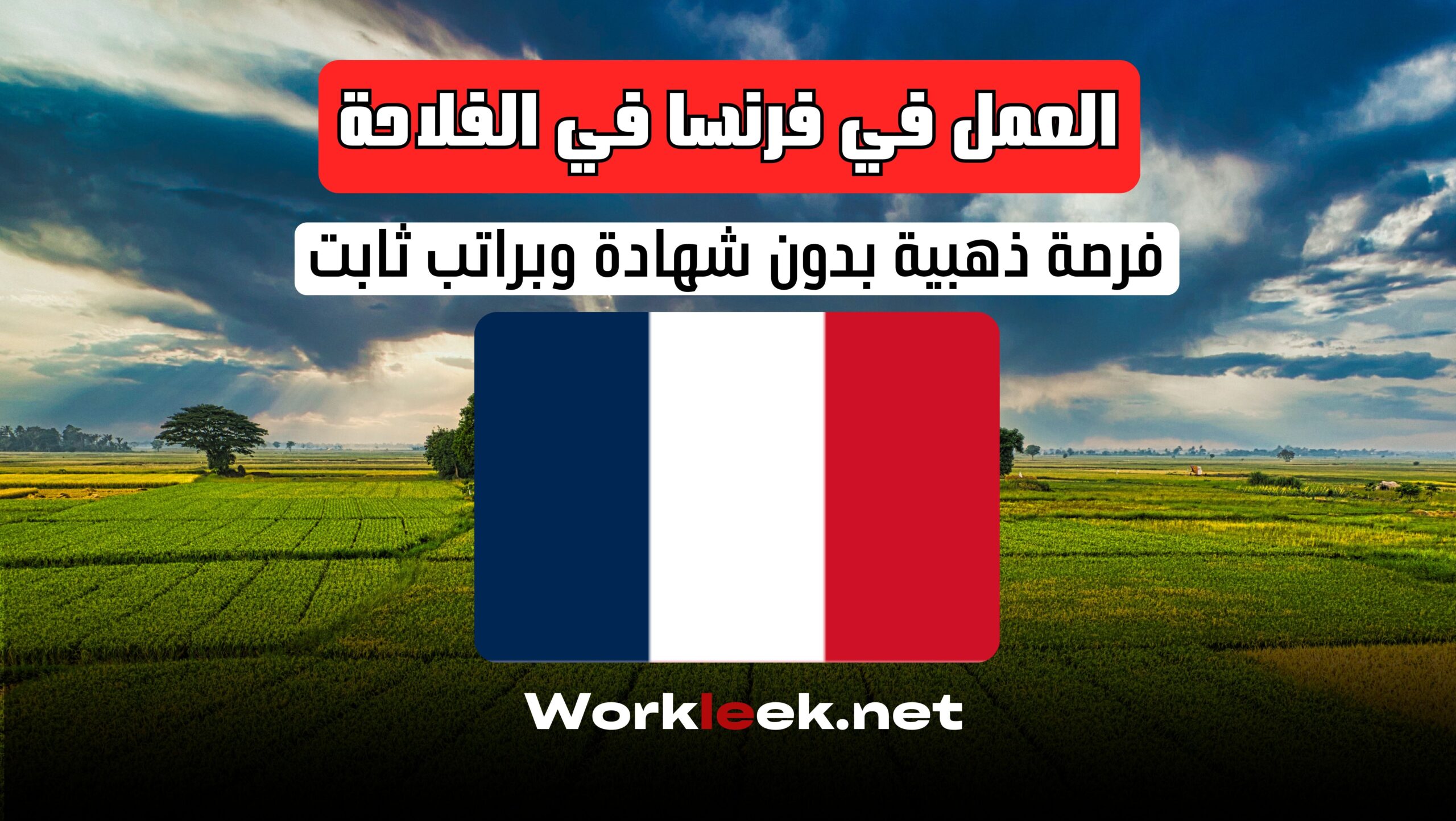 العمل في فرنسا في الفلاحة 2025 – فرصة ذهبية بدون شهادة وبراتب ثابت