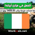 فرص العمل في مزارع أيرلندا 2025 : وظيفة مساعد مزرعة براتب 34000.00 يورو سنويًا
