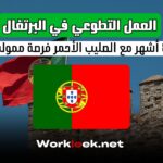 فرصة العمل التطوعي في البرتغال 2026: 8 أشهر مع الصليب الأحمر ممولة بالكامل