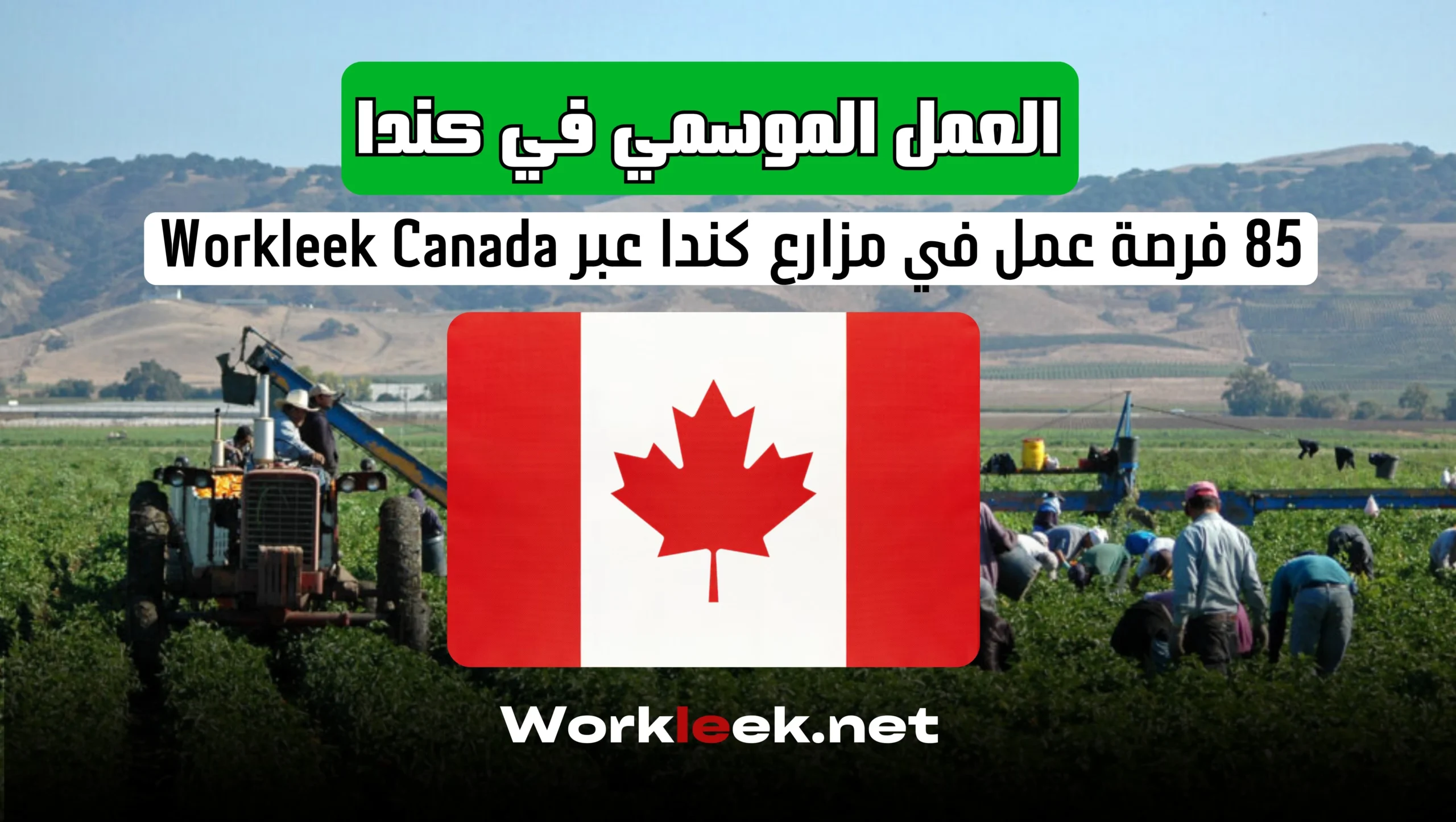 85 فرصة عمل في مزارع كندا عبر Workleek Canada : العمل الموسمي في كندا 2025