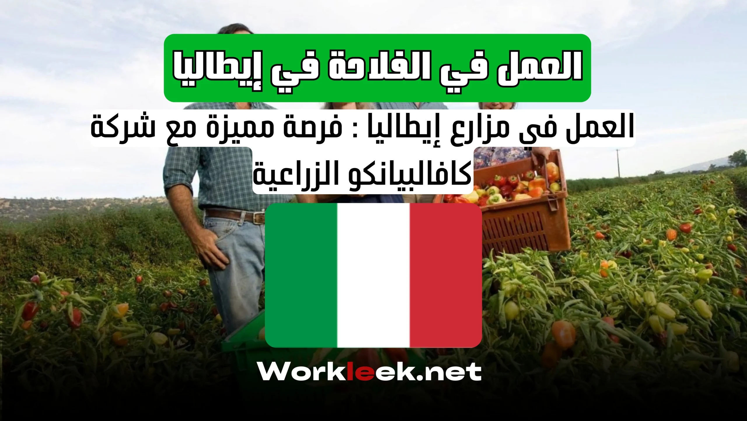 العمل في الفلاحة في إيطاليا 2025: فرصة مميزة مع شركة كافالبيانكو الزراعية