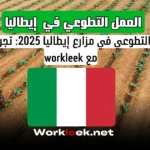 العمل التطوعي في مزارع إيطاليا 2025: تجربة فريدة مع workleek