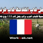 العمل في الفلاحة في فرنسا 2025: فرصة موسمية للشباب العرب براتب يصل إلى 13.5 يورو في الساعة