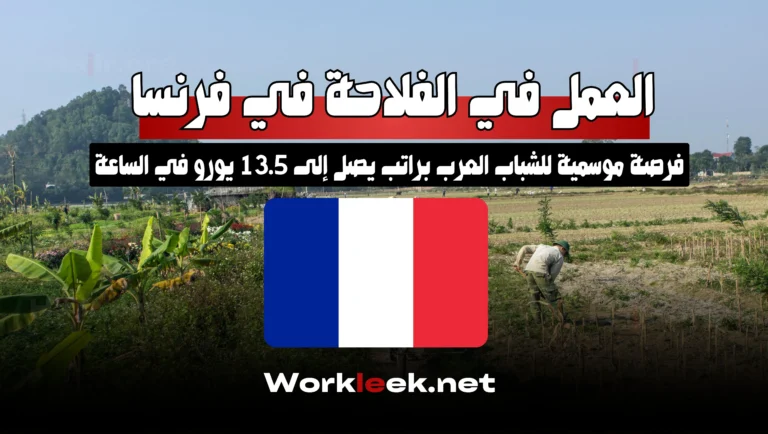 العمل في الفلاحة في فرنسا 2025: فرصة موسمية للشباب العرب براتب يصل إلى 13.5 يورو في الساعة