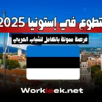 التطوع في إستونيا 2025: فرصة ممولة بالكامل للشباب العربي