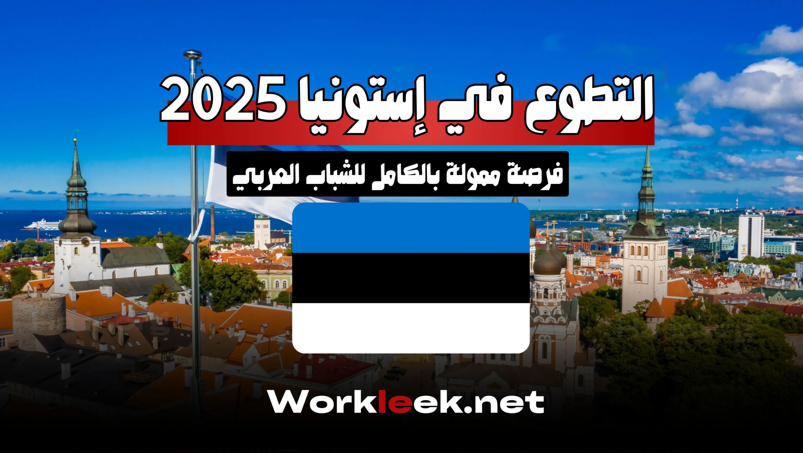التطوع في إستونيا 2025: فرصة ممولة بالكامل للشباب العربي