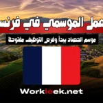 العمل الموسمي في فرنسا 2025: موسم الحصاد يبدأ وفرص التوظيف مفتوحة
