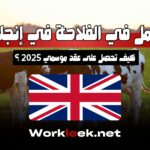 العمل في الفلاحة في إنجلترا 2025: كيف تحصل على عقد موسمي؟