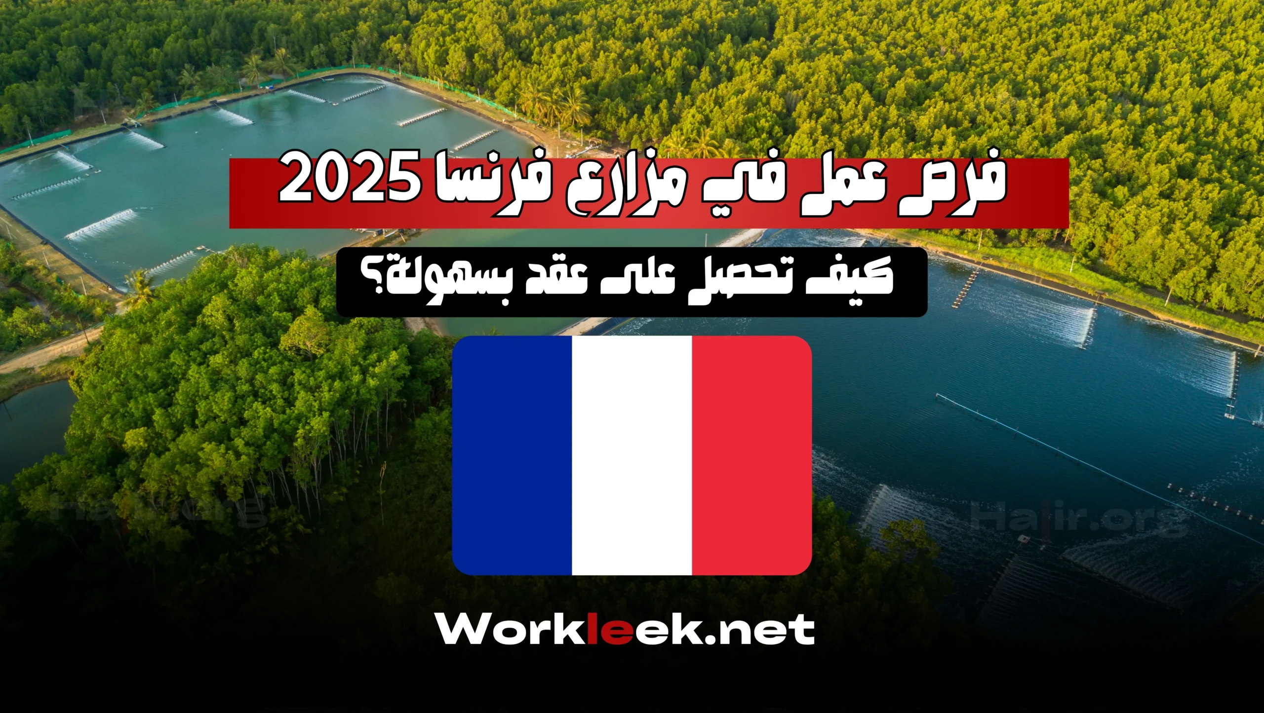 فرص عمل في مزارع فرنسا 2025: كيف تحصل على عقد بسهولة؟