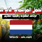 عقود العمل الموسمي في هولندا 2025 : الوثائق المطلوبة وكيفية التقديم