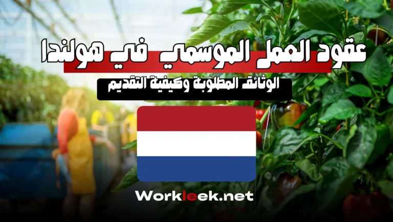 عقود العمل الموسمي في هولندا 2025 : الوثائق المطلوبة وكيفية التقديم