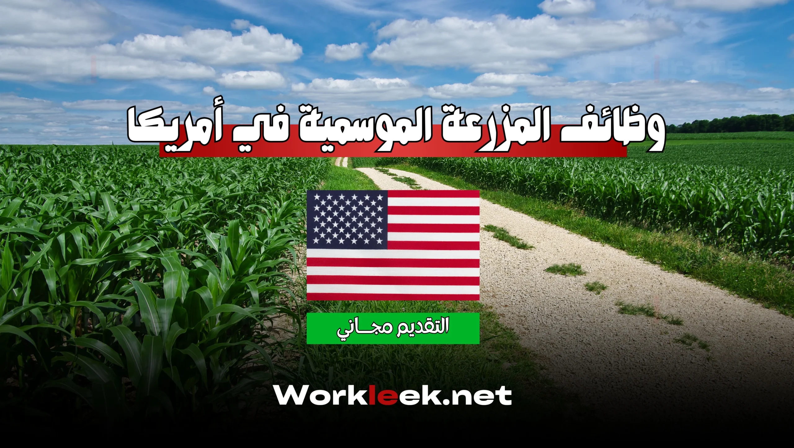 وظائف المزرعة الموسمية في أمريكا: دليلك الكامل للعمل في الحقول الأمريكية