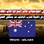 العمل الموسمي في أستراليا في الفلاحة: فرص ذهبية للعرب الباحثين عن مستقبل أفضل