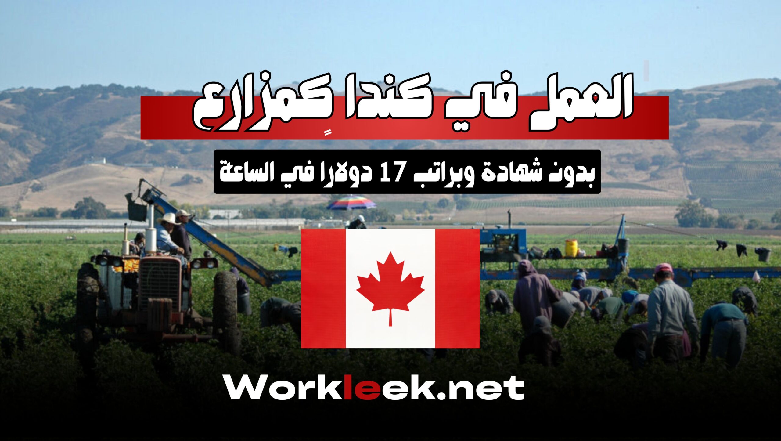 العمل في كندا كمزارع بدون شهادة وبراتب 17 دولارًا في الساعة