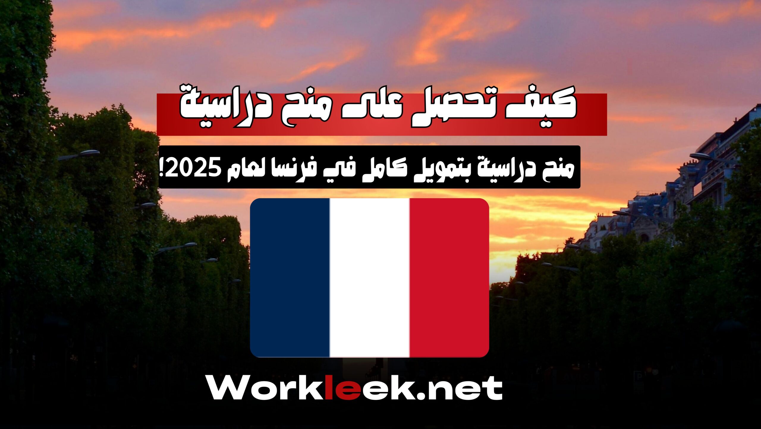 كيف تحصل على منح دراسية في فرنسا عبر workleek فرنسا