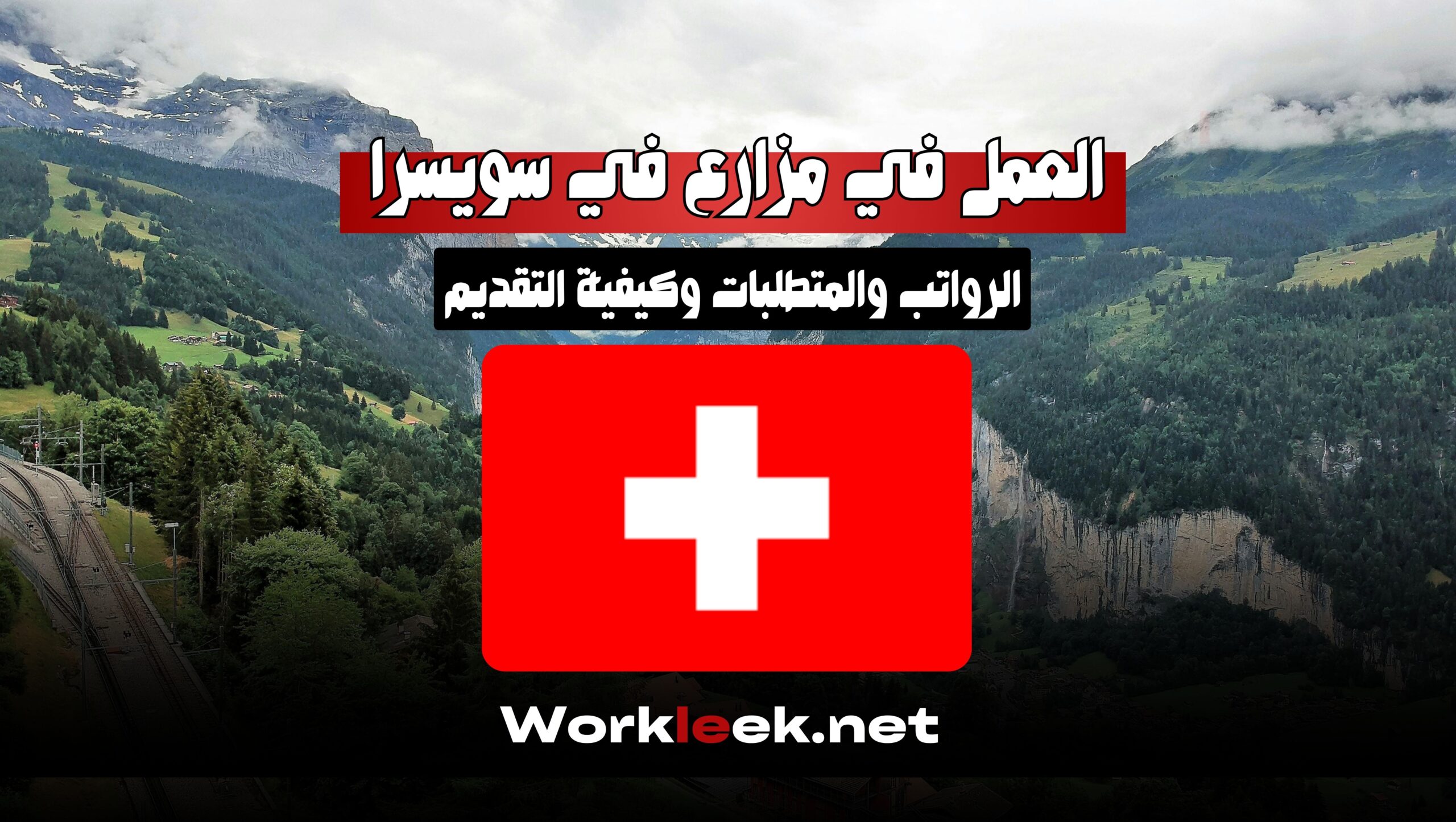 فرص العمل في مزارع سويسرا 2025: الرواتب، الشروط، وطريقة التقديم