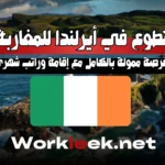 التطوع في أيرلندا للمغاربة: فرصة ممولة بالكامل مع إقامة وراتب شهري