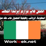 العمل في مزارع أيرلندا 2025: المهن المطلوبة، الرواتب، وكيفية الحصول على عقد عمل