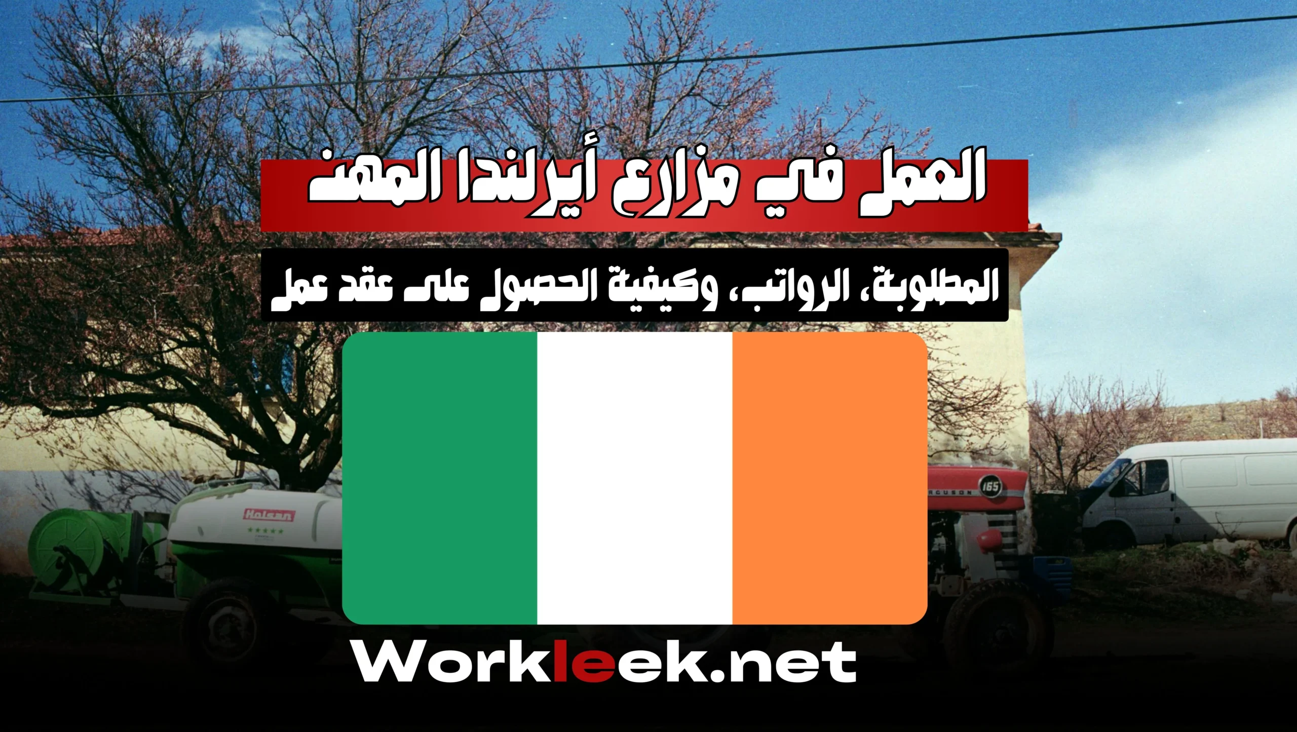 العمل في مزارع أيرلندا 2025: المهن المطلوبة، الرواتب، وكيفية الحصول على عقد عمل