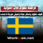فرصة تطوع في السويد 2026: كيف تتطوع وتسافر مجانًا وتعيش تجربة لا تُنسى؟