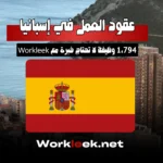 عقود العمل في إسبانيا 2025: 1,794 وظيفة لا تحتاج خبرة مع Workleek