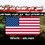 العمل في الفلاحة في أمريكا – فرص، تأشيرات، وكيفية التقديم للعرب