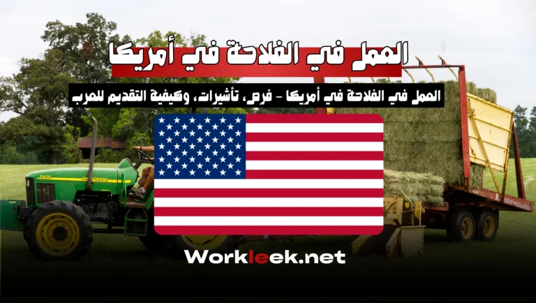 العمل في الفلاحة في أمريكا – فرص، تأشيرات، وكيفية التقديم للعرب