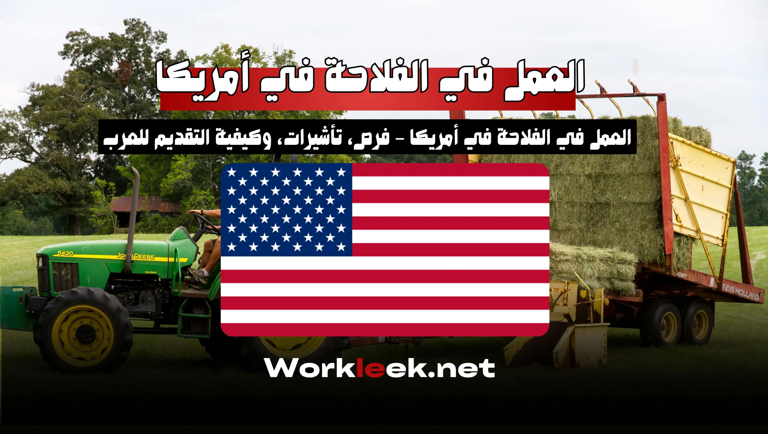 العمل في الفلاحة في أمريكا – فرص، تأشيرات، وكيفية التقديم للعرب