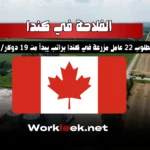 مطلوب 22 عامل مزرعة في كندا براتب يبدأ من 19 دولار/ساعة!