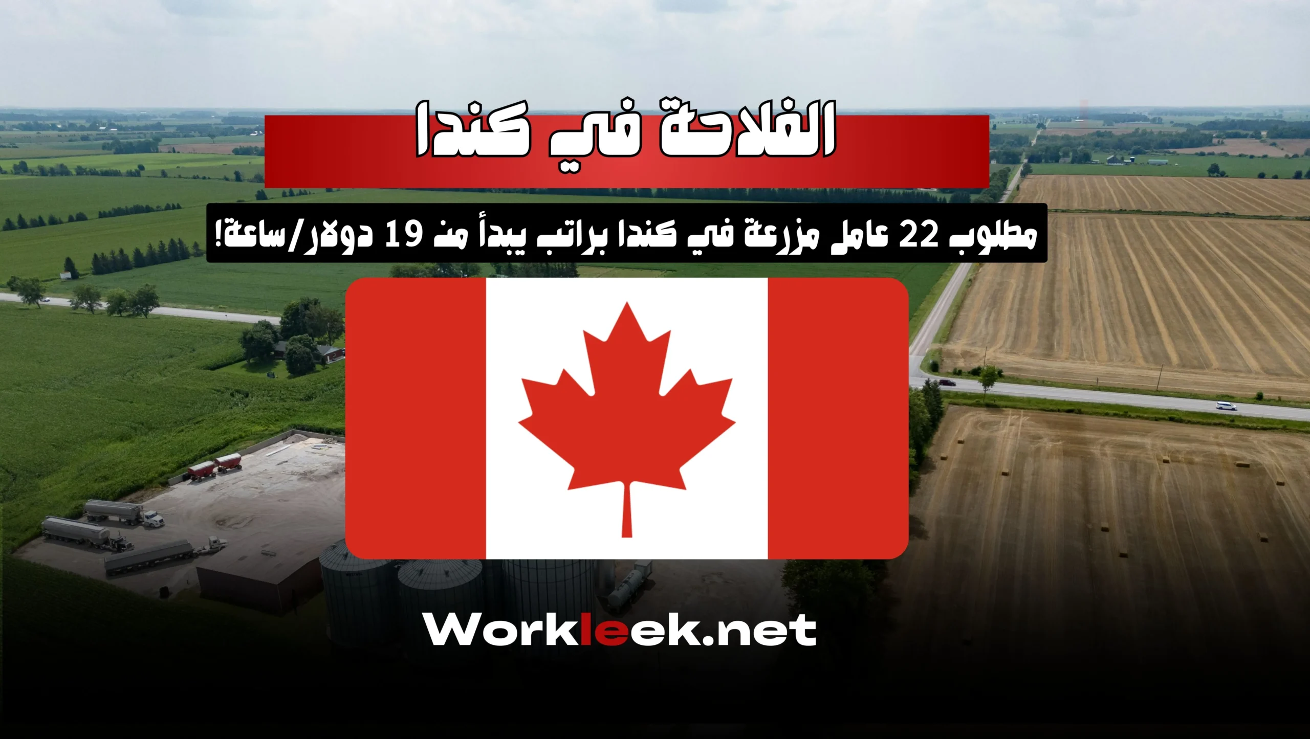 مطلوب 22 عامل مزرعة في كندا براتب يبدأ من 19 دولار/ساعة!