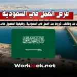 فرص عمل في السعودية للمصريين: دليل شامل لعام 2025