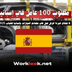 مطلوب 100 عامل في قطاع إنتاج السيارات في إسبانيا 2025 – فرصة عمل بدون خبرة