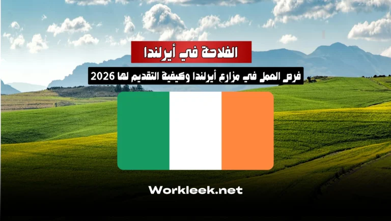 فرص العمل في مزارع أيرلندا وكيفية التقديم لها 2026